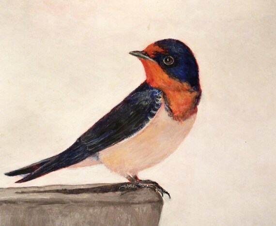 Barn Swallow Art Print A Blue Swallow Print 8 X 10 Inch Bird Etsy