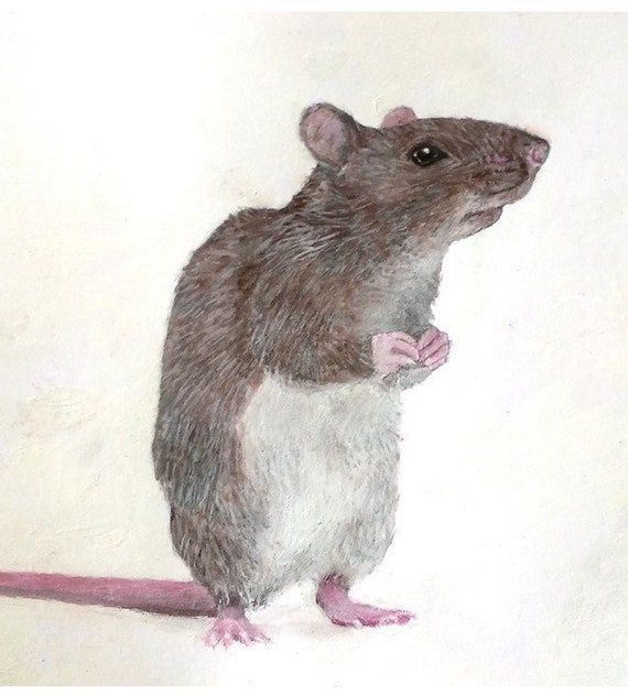 Cute Rat Realistic Drawing White and Brown · Creative Fabrica