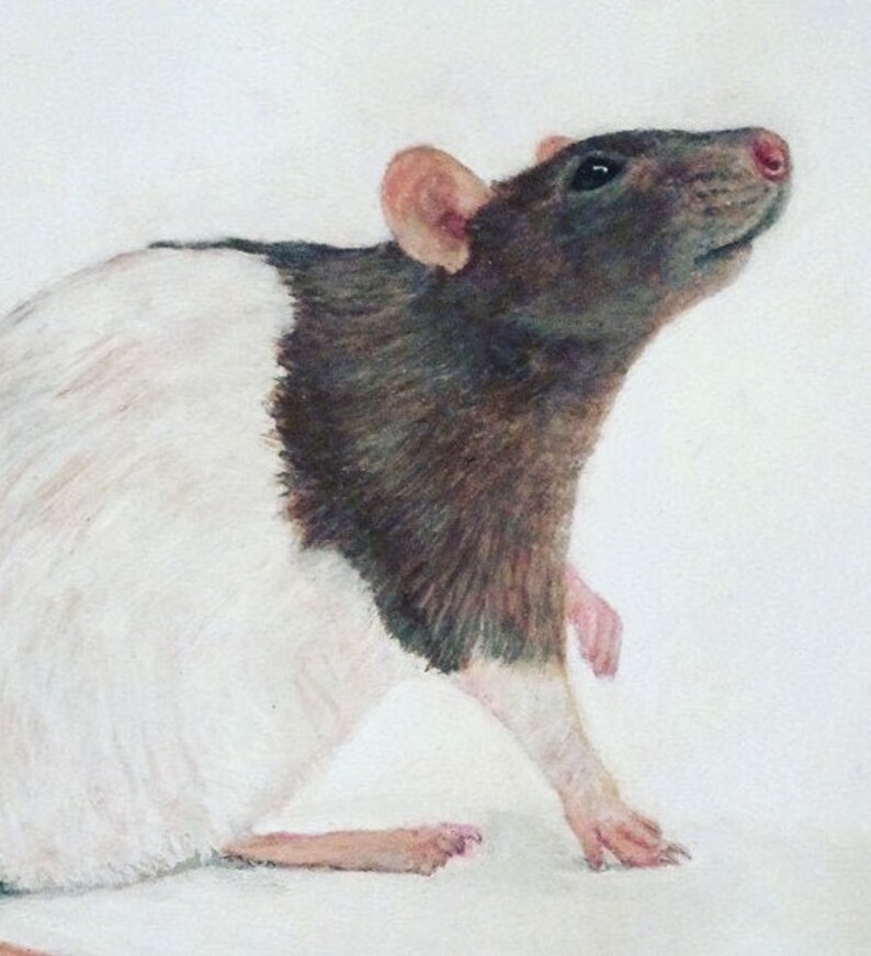 Rat Art Print small acrylic painting Cute Mouse print. Etsy