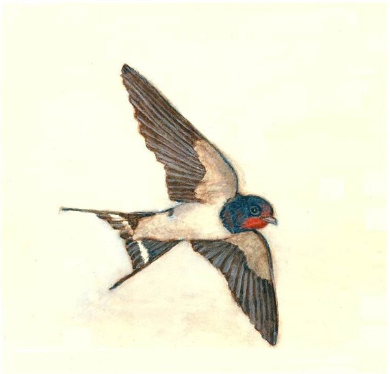 Oiseau Imprimer Lot De 3 Hirondelle Impression Set Oiseau Bleu Aquarelle Art Print Décor Bleu à La Maison Ensemble De Gravures Cadeau Nature