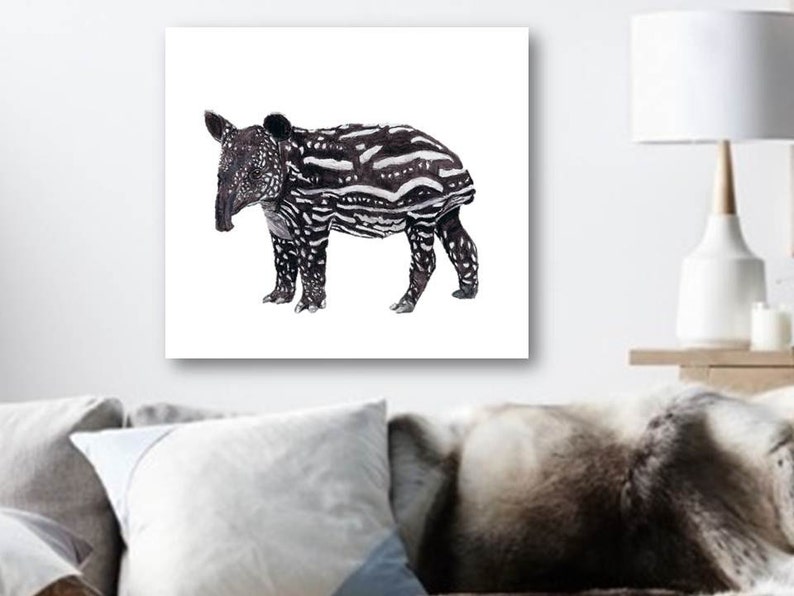 A Baby Tapir Art Print. A Malaysian Tapir Print. For Brown And White Unique Animal Decor, For A4 Baby Animal Playroom Art / Rare Animal gIft image 5