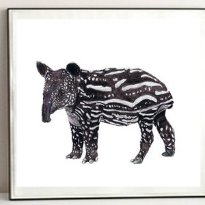 A Baby Tapir Art Print. A Malaysian Tapir Print. For Brown And White Unique Animal Decor, For A4 Baby Animal Playroom Art / Rare Animal gIft image 1