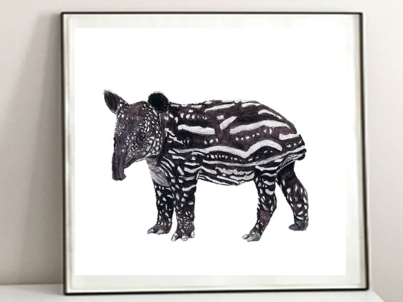 A Baby Tapir Art Print. A Malaysian Tapir Print. For Brown And White Unique Animal Decor, For A4 Baby Animal Playroom Art / Rare Animal gIft image 1