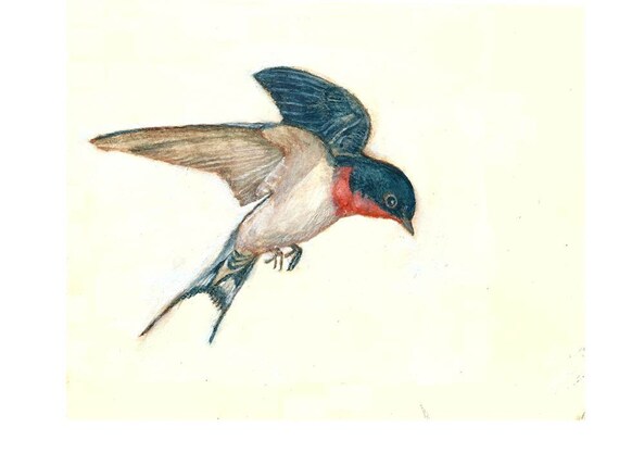 Bird Print Set Of 3 Barn Swallow Print Set Blue Bird Etsy