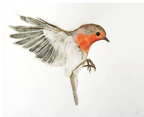 European Robin birds on a branch watercolor art print Robin Redbreast art print