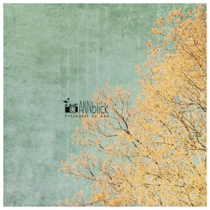 Vintage sky and tree in spring, textured photography and square art print in the sizes 13 x 13 cm 20 x 20 cm image 4