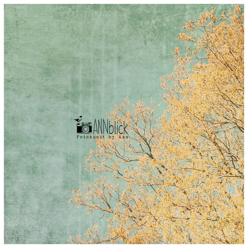 Vintage sky and tree in spring, textured photography and square art print in the sizes 13 x 13 cm 20 x 20 cm image 4