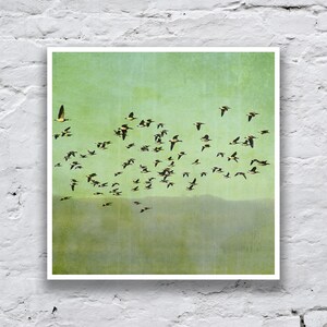 May include: A flock of birds flying in formation against a green and blue sky. The birds are black and white with yellow accents. The sky is textured and has a vintage look.