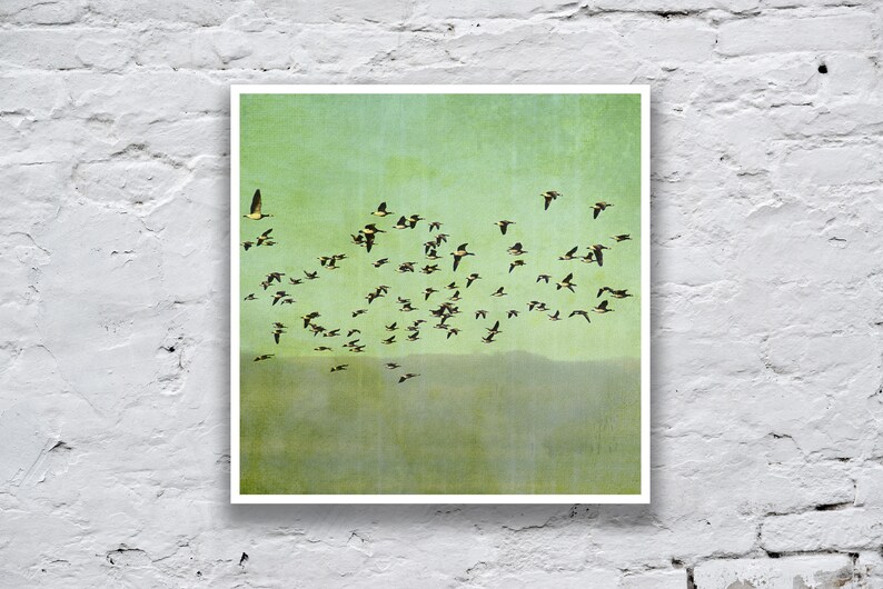 May include: A flock of birds flying in formation against a green and blue sky. The birds are black and white with yellow accents. The sky is textured and has a vintage look.