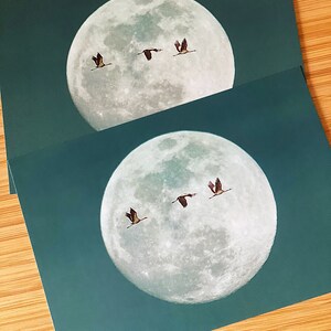 Grußkarten 2er Set "Glücksbringer" (2-seitig, ohne Umschläge) DIN A 6 Postkarte Kunstkarte Kraniche Wunscherfüller Glücksboten