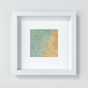 Vintage sky and tree in spring, textured photography and square art print in the sizes 13 x 13 cm 20 x 20 cm image 1