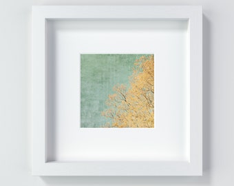 Vintage sky and tree in spring, textured photography and square art print in the sizes 13 x 13 cm + 20 x 20 cm