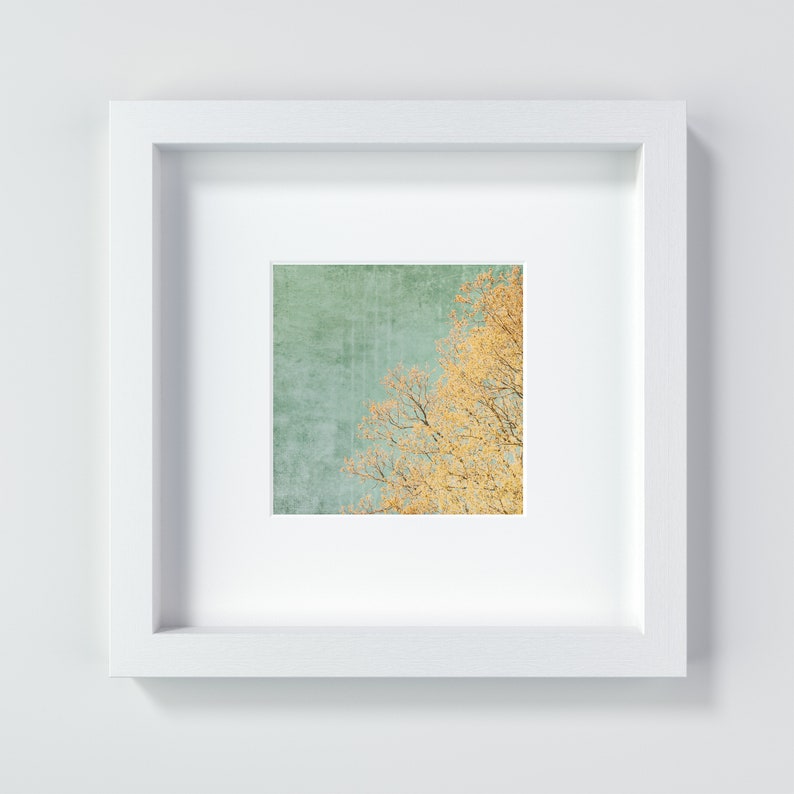 Vintage sky and tree in spring, textured photography and square art print in the sizes 13 x 13 cm 20 x 20 cm image 1