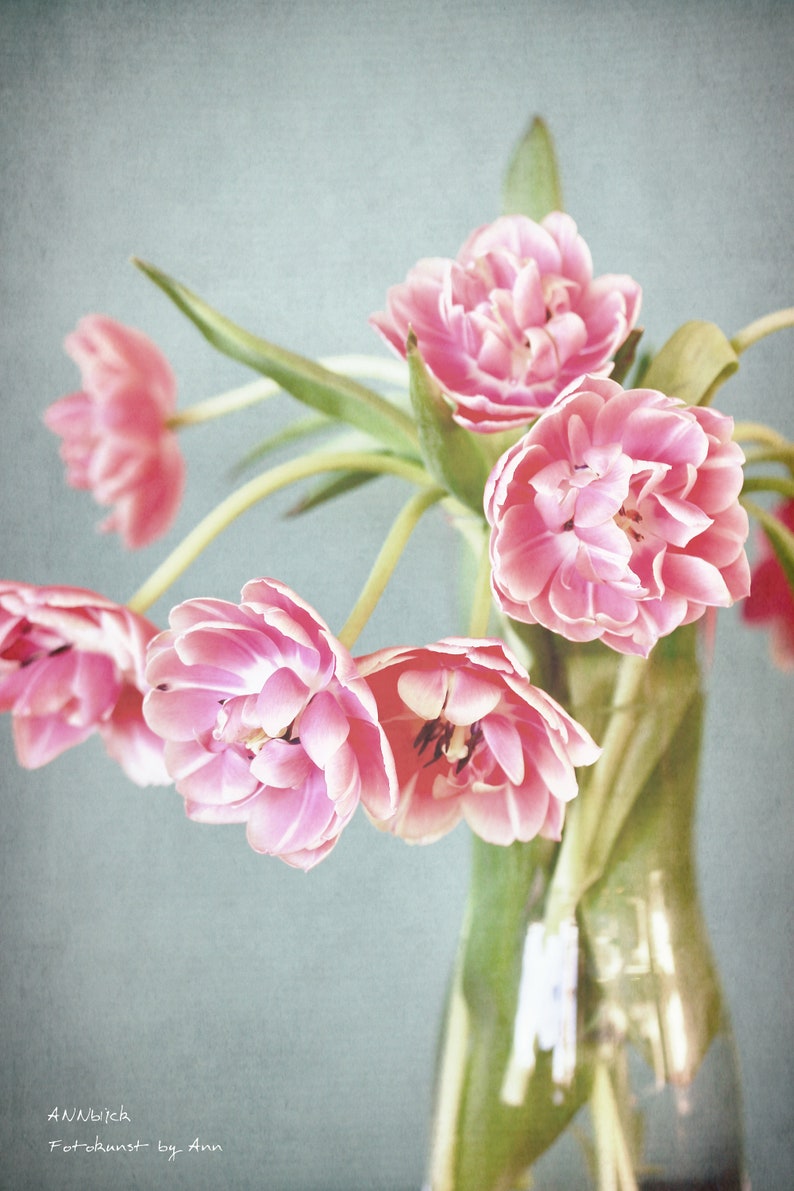Fotografie-Hintergrund DH-176 – Frühlingsblumen Design, 3x2,4 M Vinyl