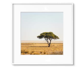 Afrikanischer Savannenbaum, Kunstdruck Landschaftsfotografie, Größe 20 x 20 cm, 30 x 30 cm