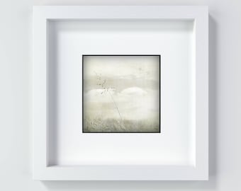 Botanischer Kunstdruck und Fotografie, Gras und Wiesen Bild, vintage, minimalistisch, sepia, filigranes Naturmotiv, 13 x 13 und 20 x 20 cm