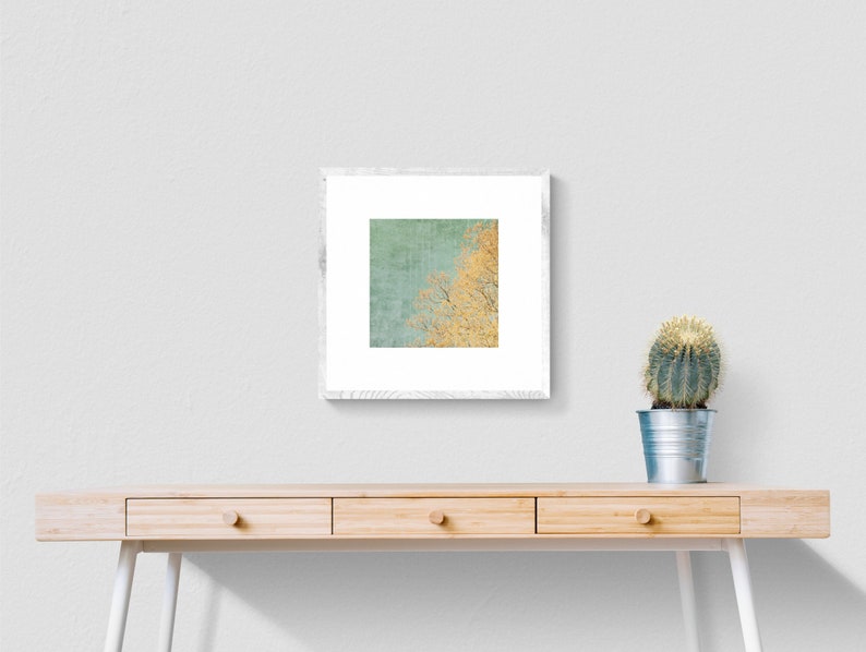 Vintage sky and tree in spring, textured photography and square art print in the sizes 13 x 13 cm 20 x 20 cm image 2