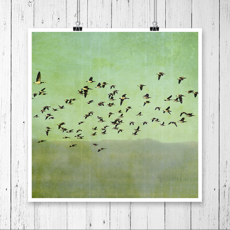 May include: A flock of geese flying in formation against a green and blue sky. The geese are flying in a V-shape, with the leader at the front of the formation. The sky is a light blue color, with some clouds in the distance.