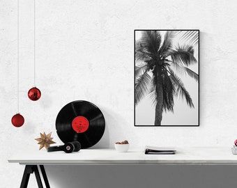 Photography of a palm tree in black and white, tropical wall decoration for your home named "Palm Tree", size 45 x 30 cm