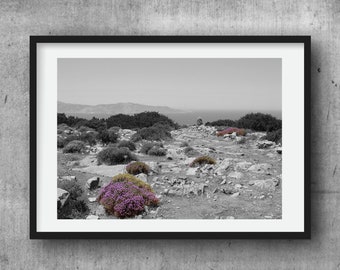 THYME GARDEN Cyclades Greece Greek Art Nature Photography Mediterran Botanical Fine Art Print Picture // 20 x 30 cm