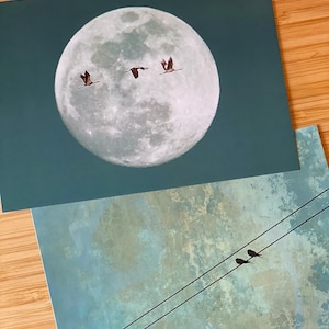 Grußkarten 2er Set "Liebe & Glück" (2-seitig, ohne Umschläge) DIN A 6 Postkarten Kunstkarten Kraniche Glücksboten Hochzeitskarte