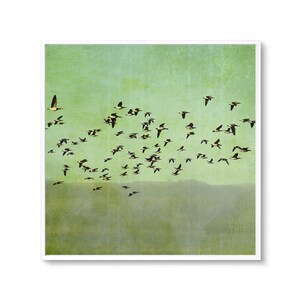 May include: A flock of geese flying in formation against a green and white sky. The geese are flying in a V-shape, with the leader at the front of the formation.