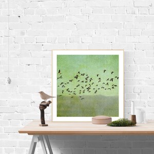 May include: A framed print of a flock of birds flying in a green sky. The birds are black silhouettes against a light green background with a subtle texture.