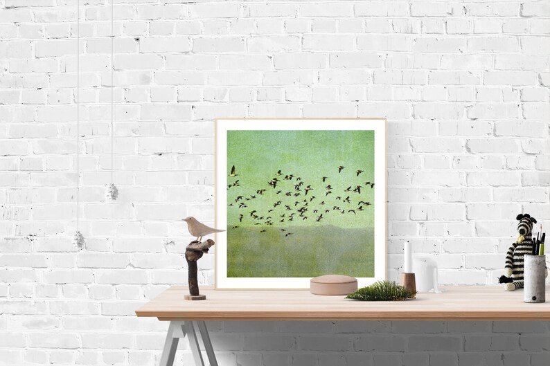 May include: A framed print of a flock of birds flying in a green sky. The birds are black silhouettes against a light green background with a subtle texture.