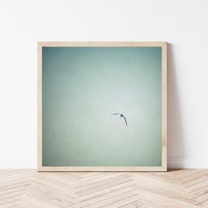 Picture in green, seagull in the sky in vintage style, maritime and minimalist art print and gift for wanderlust, 3 sizes