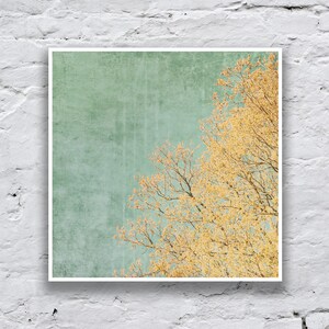 Vintage sky and tree in spring, textured photography and square art print in the sizes 13 x 13 cm 20 x 20 cm image 3