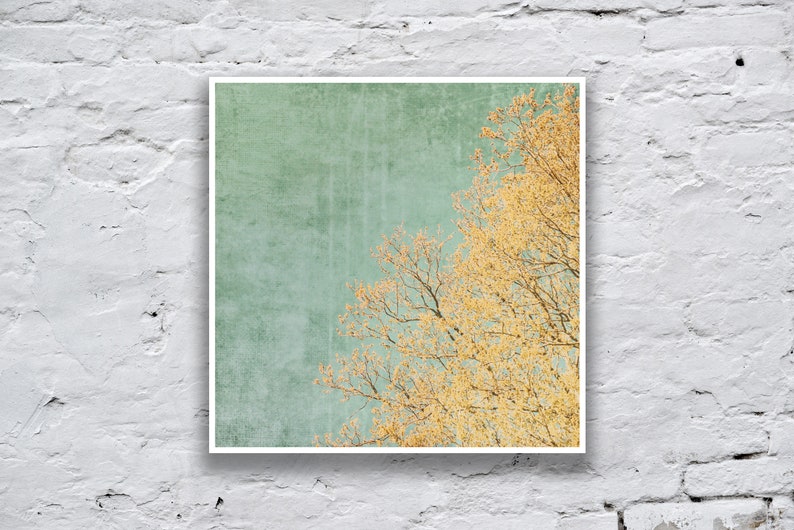 Vintage sky and tree in spring, textured photography and square art print in the sizes 13 x 13 cm 20 x 20 cm image 3