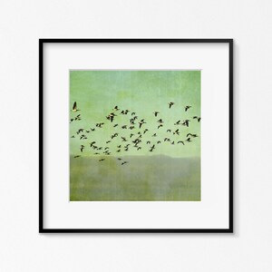 May include: A framed print of a flock of birds flying in formation against a green and blue sky. The birds are black and white with yellow accents.