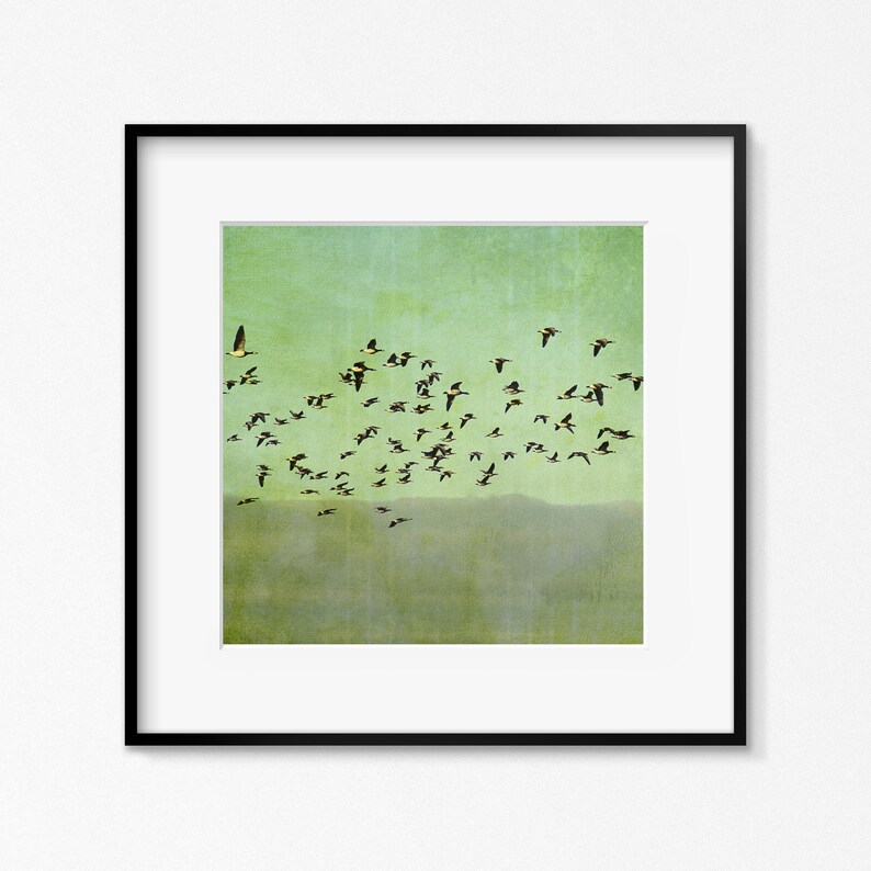 May include: A framed print of a flock of birds flying in formation against a green and blue sky. The birds are black and white with yellow accents.