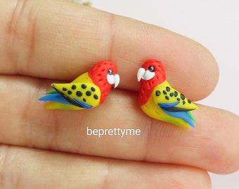 Rosellas Bird Stud Earrings. Handmade Wearable Art Polymer clay. Stainless Steel Studs. Wonderful gift for bird fans.
