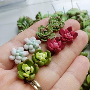 Cute Succulents Stud Earrings. Polymer clay. Succulent Plant Earrings. Beautiful gift for gardeners/ succulent collectors