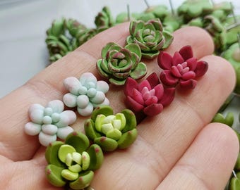 Cute Succulents Stud Earrings. Polymer clay. Succulent Plant Earrings. Beautiful gift for gardeners/ succulent collectors