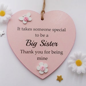 Special Big Sister Thank You Gift Heart Plaque
