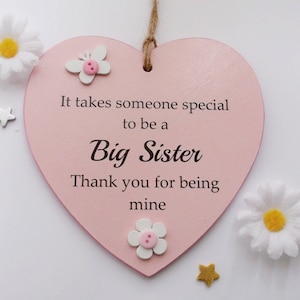 Special Big Sister Thank You Gift Heart Plaque image 3