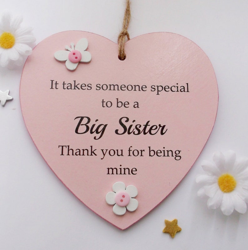 Special Big Sister Thank You Gift Heart Plaque image 3