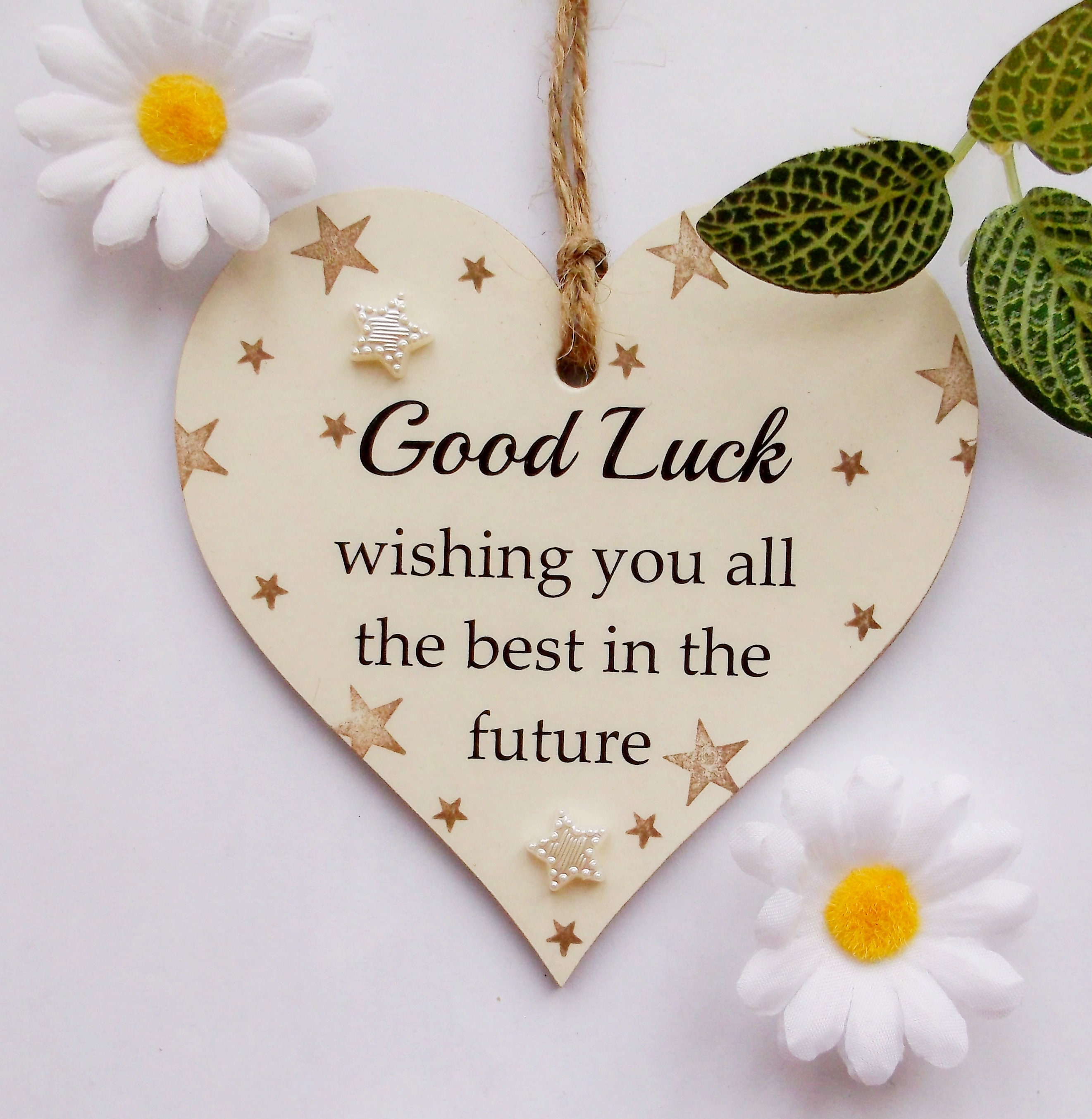 Good Luck Wishing You All the Best Neutral Stars Wooden Gift Heart