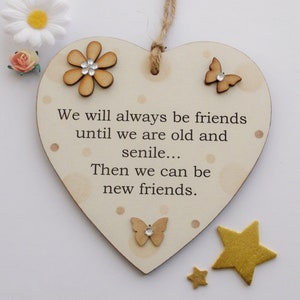 We will always be friends until we are old and senile  Funny wooden gift plaque with butterflies