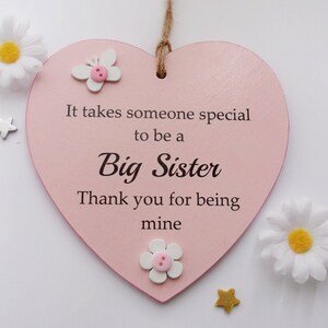 Special Big Sister Thank You Gift Heart Plaque image 2
