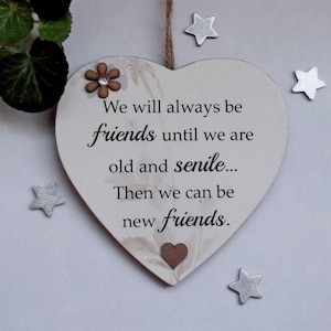 We will always be friends until we are old and senile  Funny wooden gift plaque