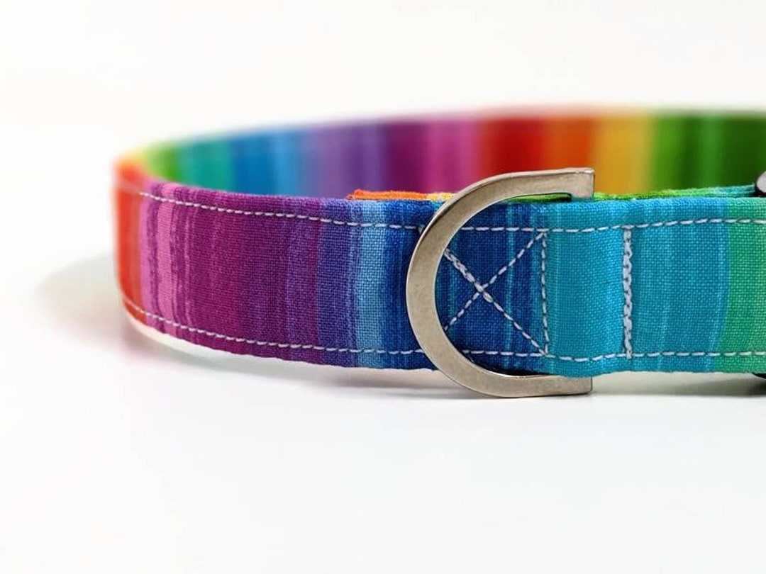 Colourful clearance dog collars