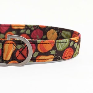 May include: A brown dog collar with a pattern of orange and red pumpkins and green leaves. The collar has a silver metal buckle.