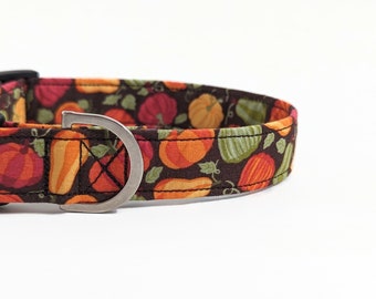 Pumpkin Patch Dog Collar | Autumn Harvest, Fall Thanksgiving