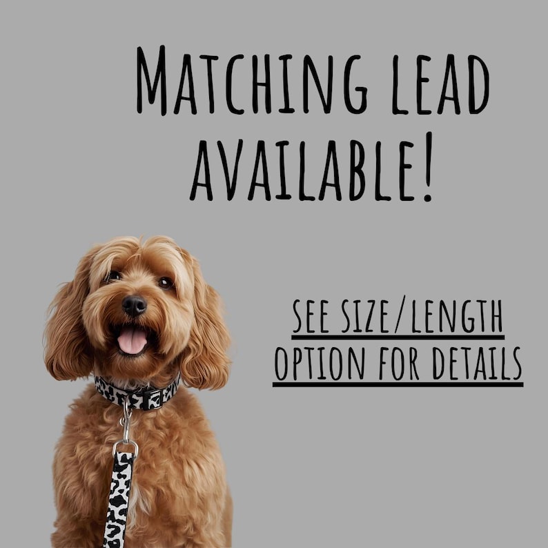 May include: A brown dog wearing a black and white patterned collar and leash. The image includes the text "MATCHING LEAD AVAILABLE!" and "SEE SIZE/LENGTH OPTION FOR DETAILS" on a gray background.