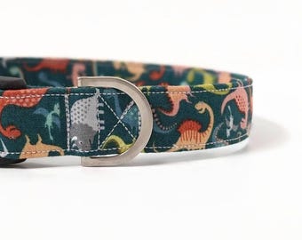 Dinosaur Dog Collar, Boy Dog Collar, Dog Collar, Cute Dog Collar,  Dinosaur Puppy Collar, Puppy Collar, Dinosaur Dog Lead