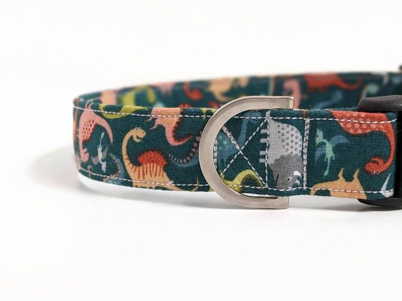 Dinosaur Dog Collar Boy Dog Collar Large Dog Collar Male Etsy