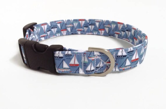 boy dog collars